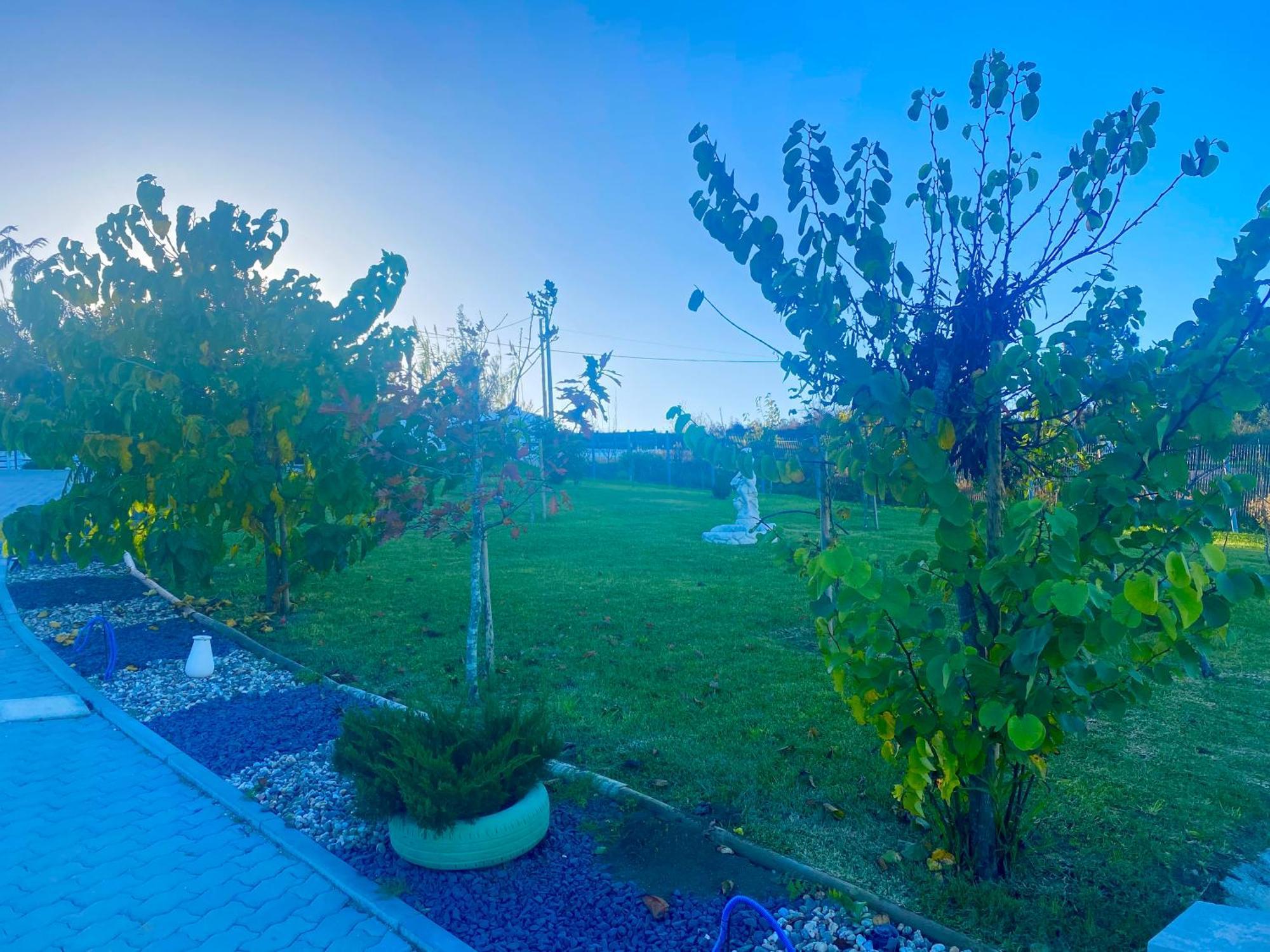 Alto Do Moinho Apartment Alcobaca Exterior photo
